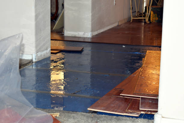 Professional Burst Pipe Water Damage technician working in Pembroke, MA